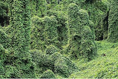 《DREDGE》黑暗系钓鱼游戏新登场钓鱼新手入门信息及情报公开！